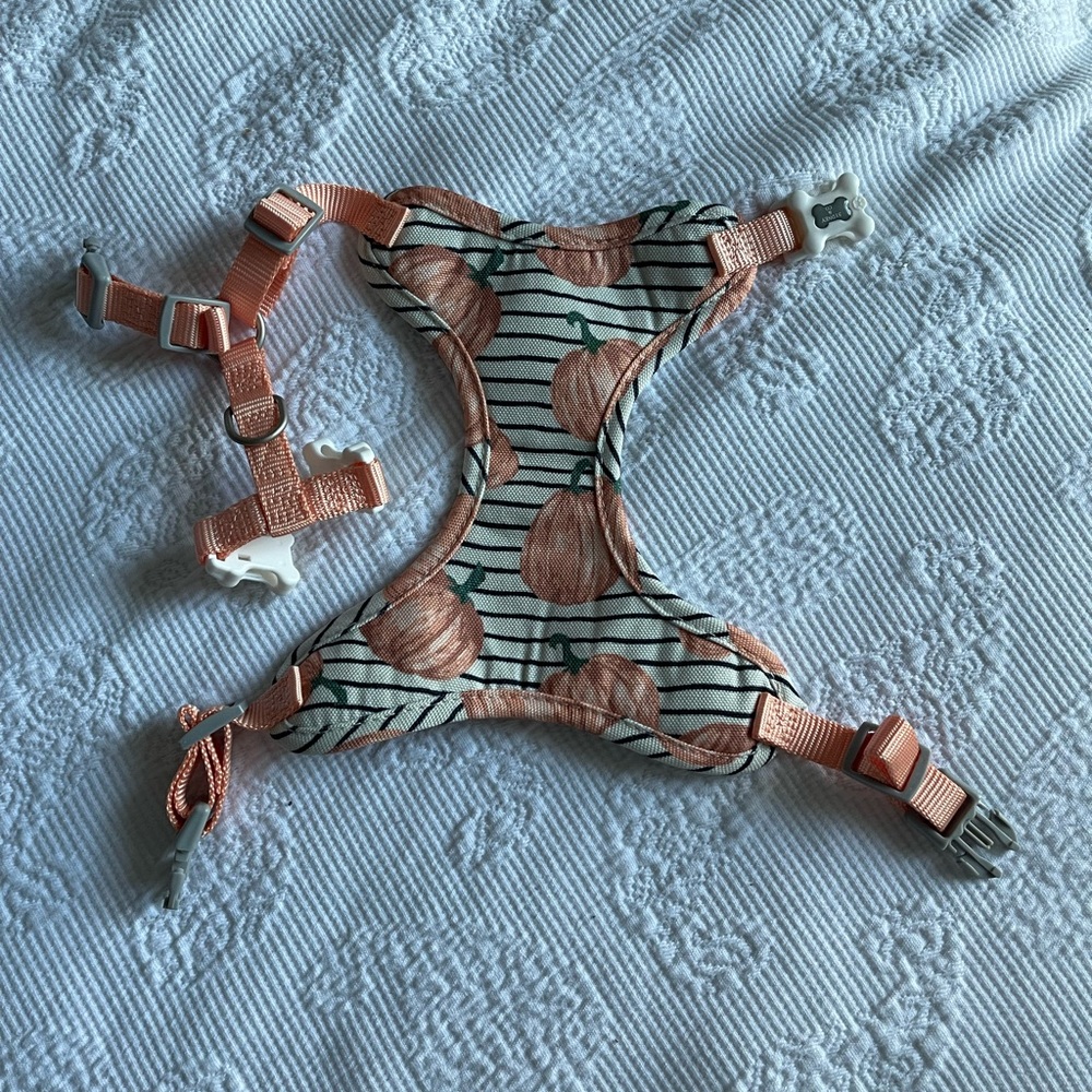 Sydney & Co Pumpkin Fall Dog Harness